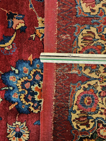 Persian Mashad "Saber"