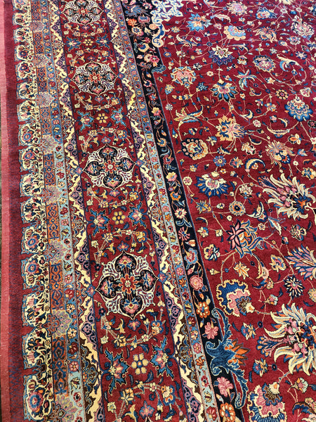 Persian Mashad "Saber"