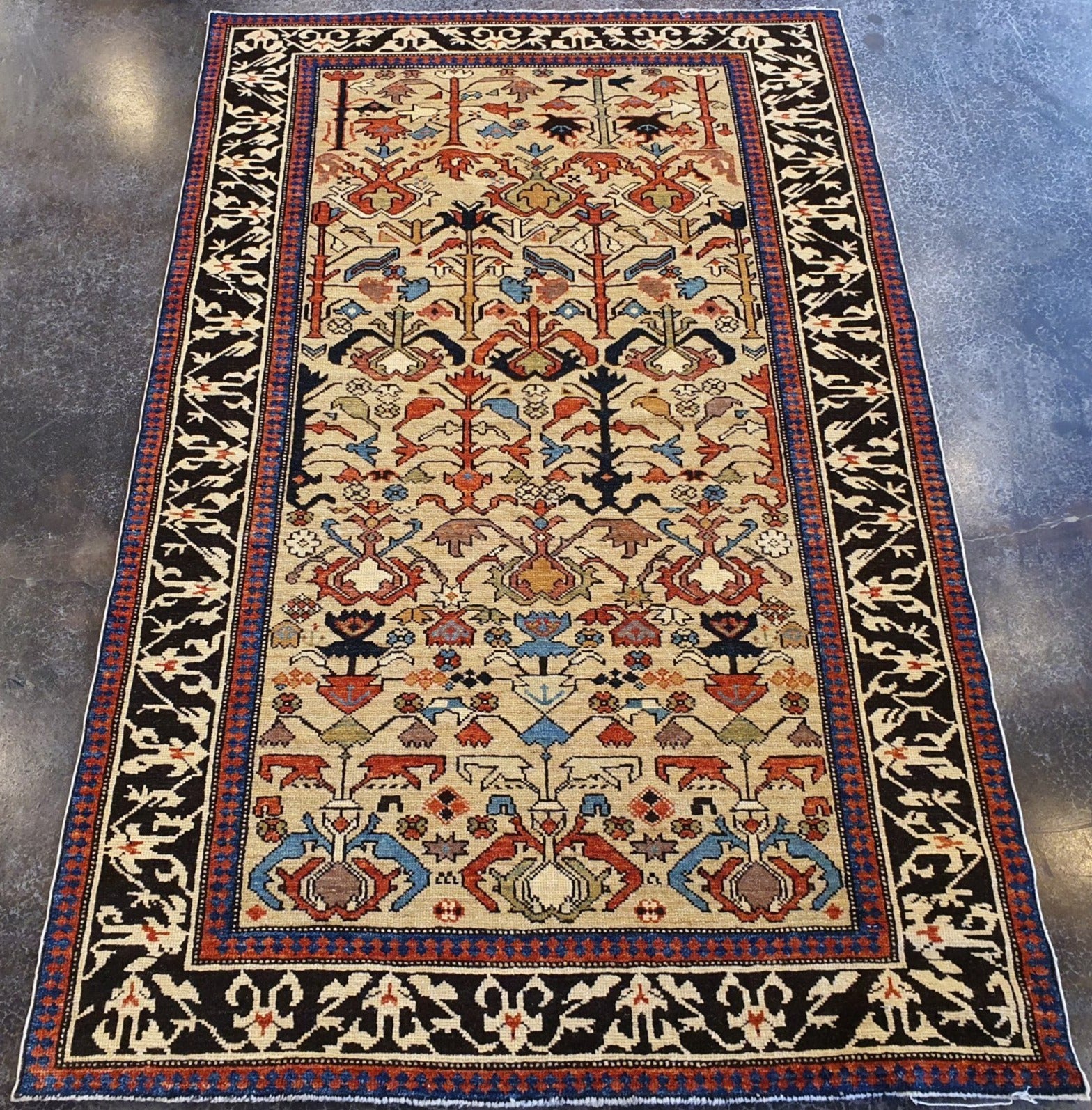 Caucasian Finely Knotted Shirvan Rug